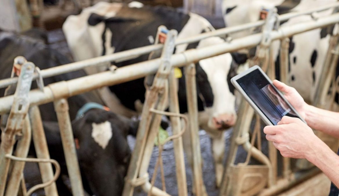 Promoting farm safety to young farmers