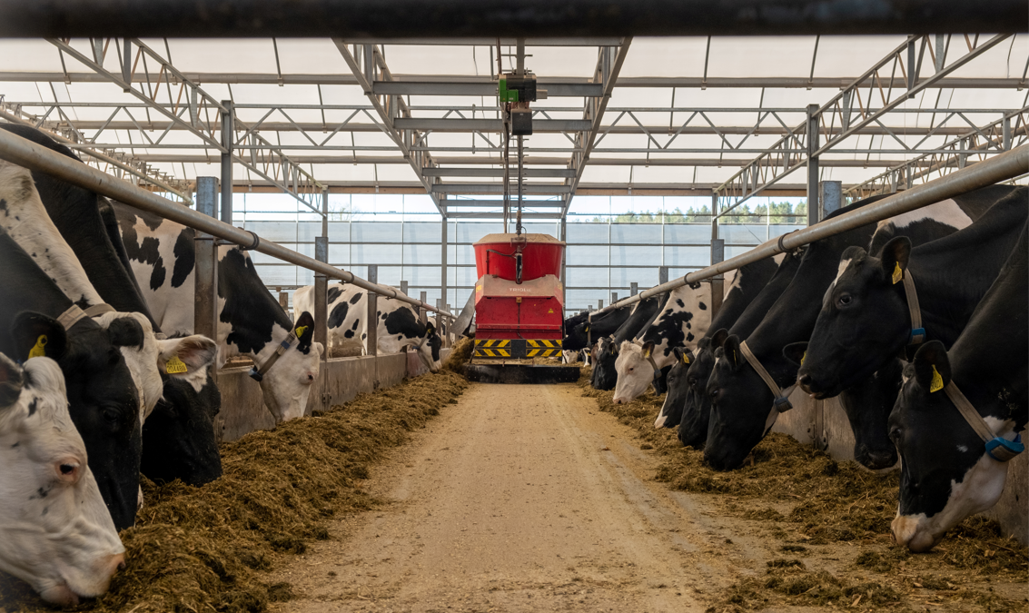 Future Farm