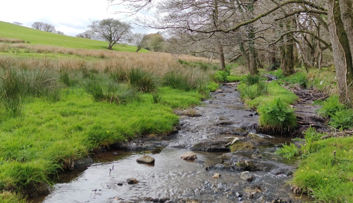 Home Farm Natural Capital