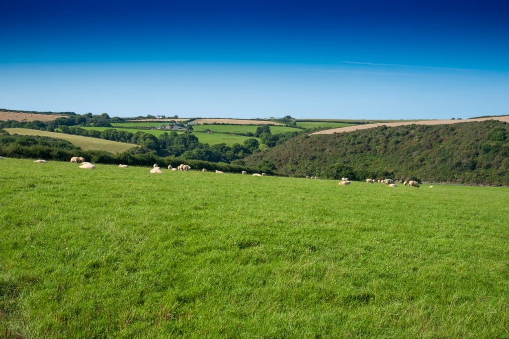 The Agri Carbon Kernow project offers farmers in Cornwall free support to help them: