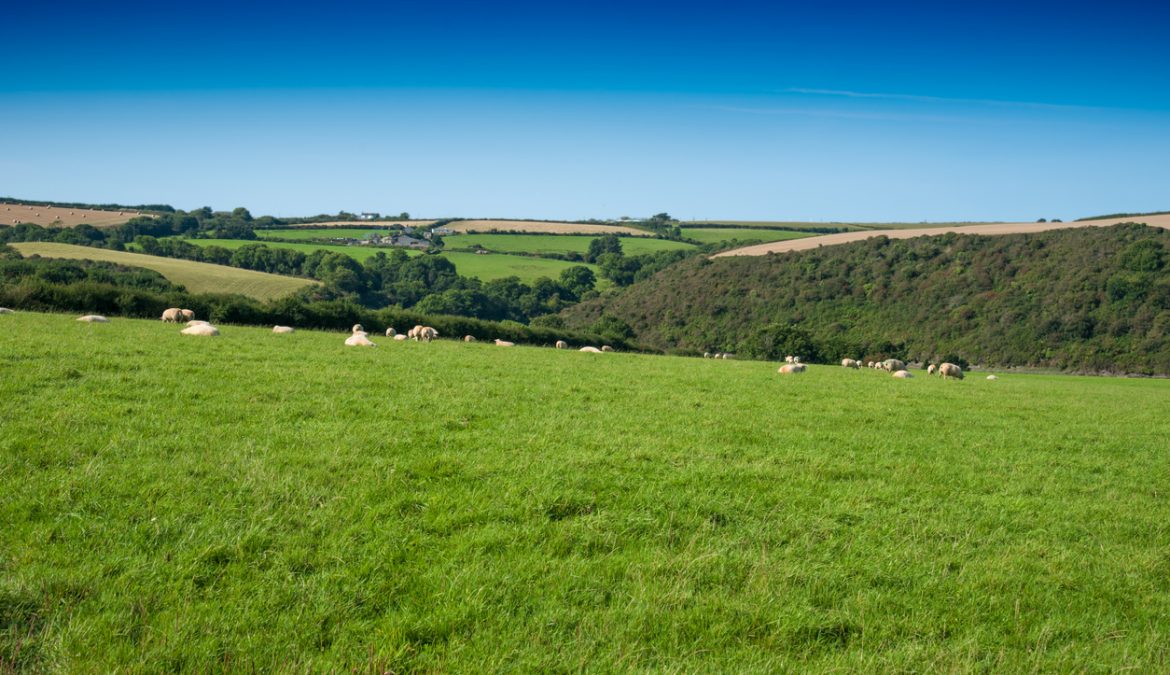 Agri Carbon Kernow