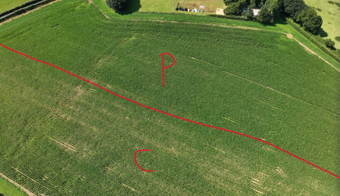 Maximising the benefits of different maize establishment methods for yield and soil health: A Farm Net Zero trial