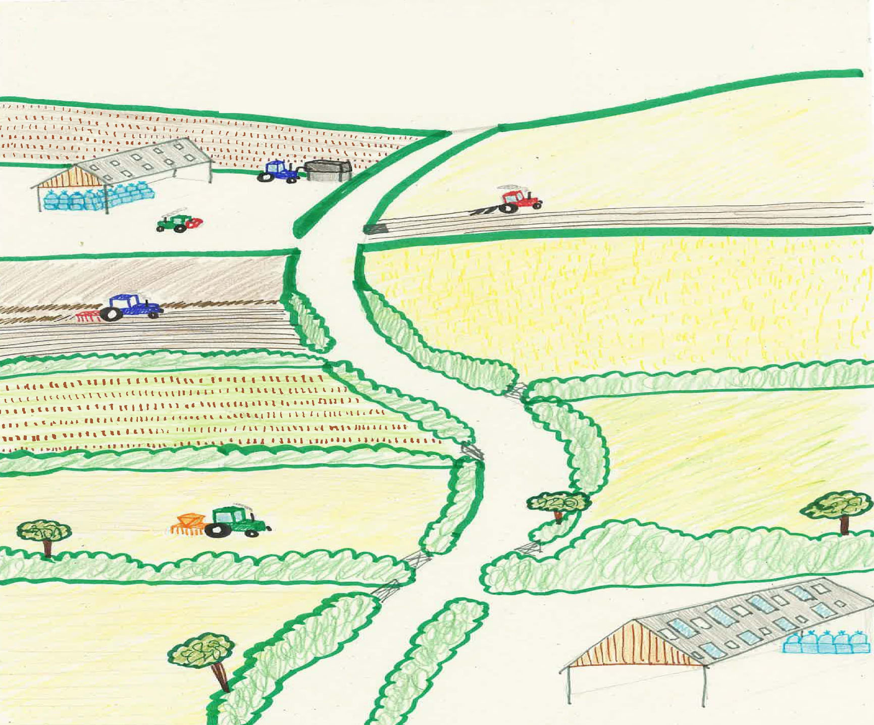 Arable Farm Net Zero roadmap