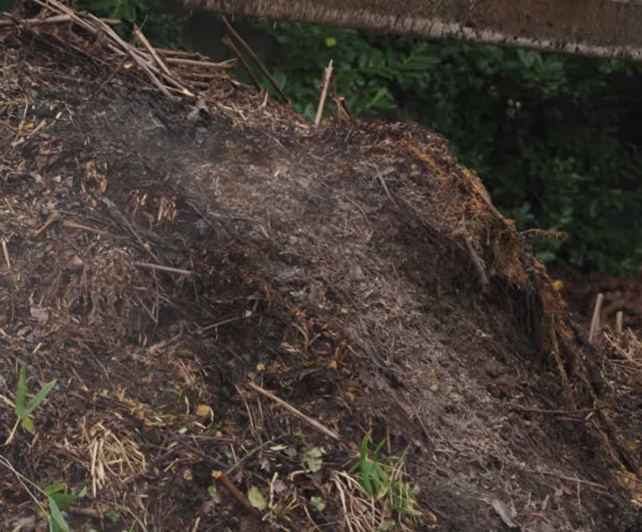  How Composting Can Help Nature and Save You Money 