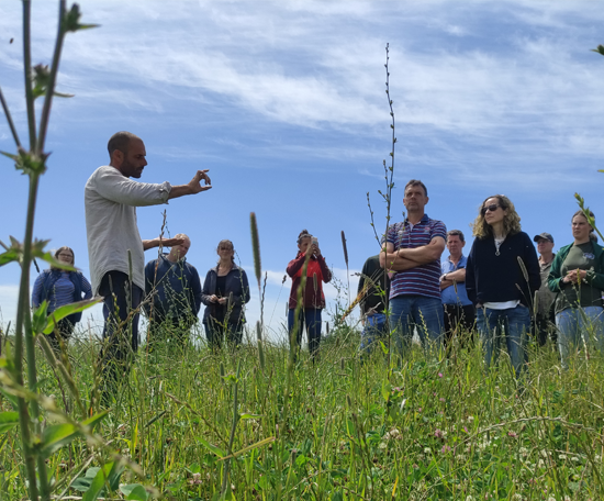 Group of people standing in a species-rich grass field during an outdoor farm walk, listening to a speaker