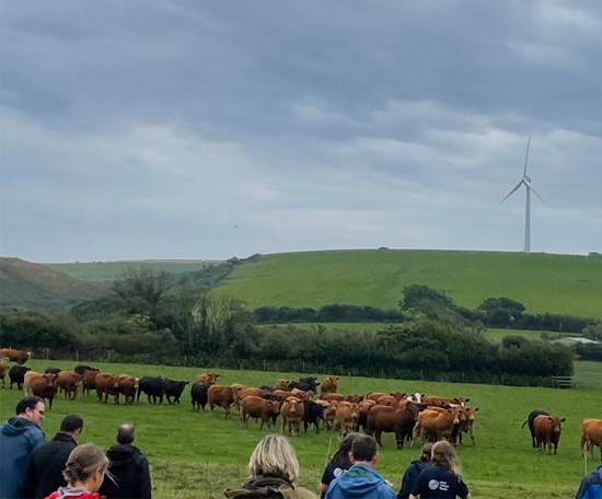 Group of people standing in a field observing a herd of cattle, with rolling farmland and a wind turbine in the background