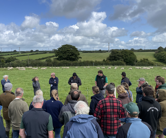Group of people gathered in a grass field during an outdoor farm discussion, with sheep grazing in the background.
