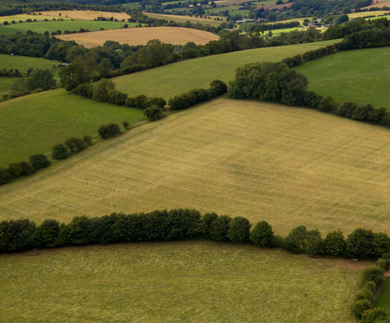 Aerial view of farmland divided by hedgerows, with fields, trees and rolling countryside extending into the distance.
