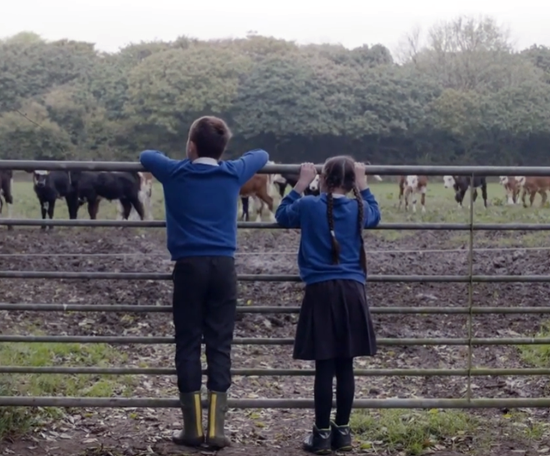  Claire Brewer, Ennis Barton Farm – school children have fun on farm learning about dairy farming