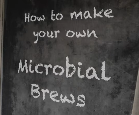  How to make a microbial brew for your compost