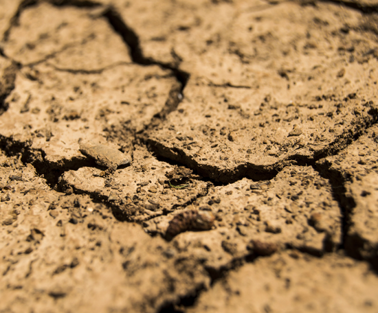 Close-up of dry, cracked soil with deep fissures running across the surface.