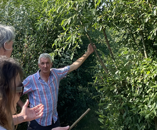 Farmer discussing trees and shrubs with a small group during an outdoor farm walk.